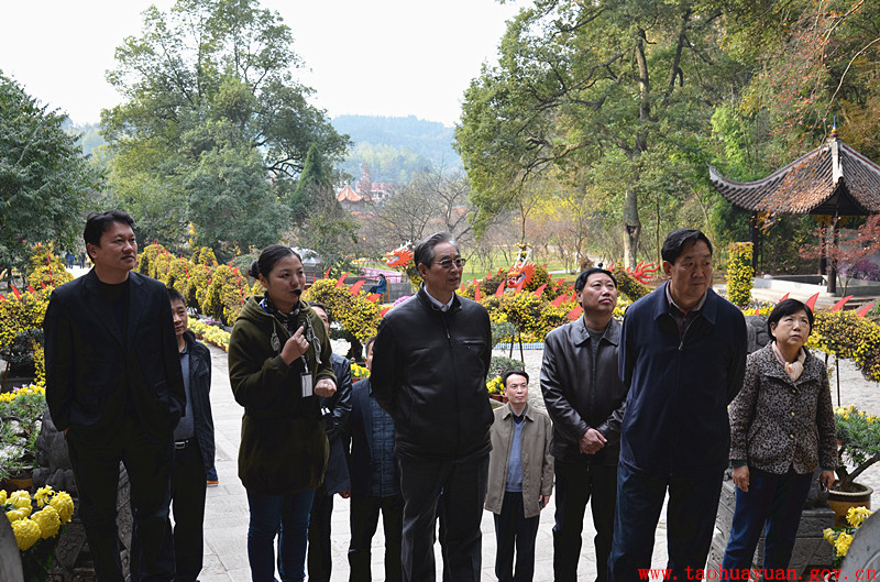 上将徐永清来桃花源考察