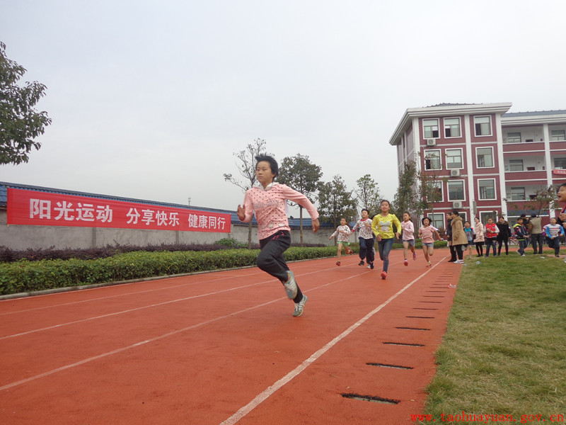 桃花源镇中心学校第四届小学生运动会召开