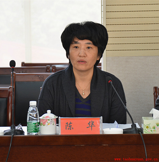 陈市长讲话.jpg