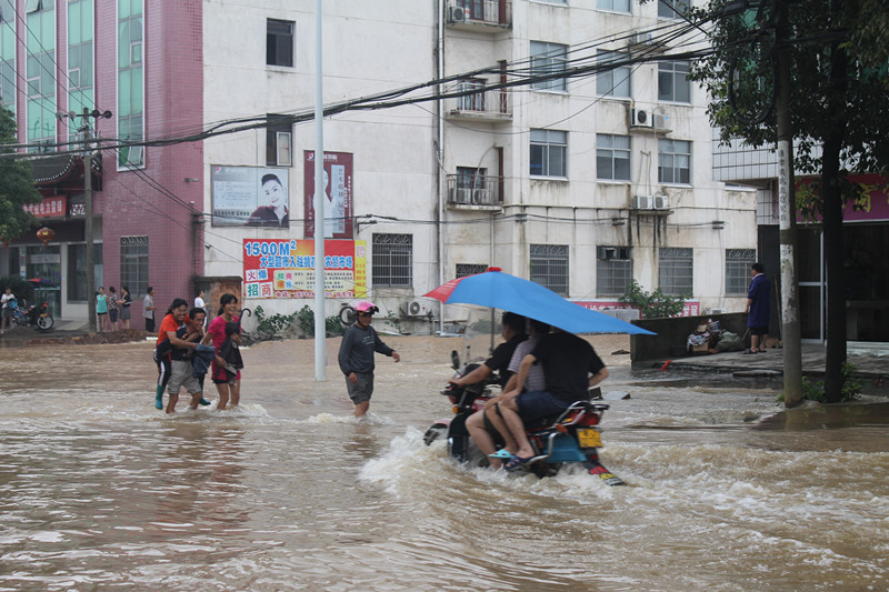 镇区道路进水1.jpg