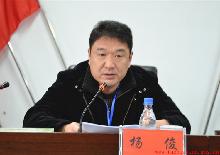 杨俊.jpg