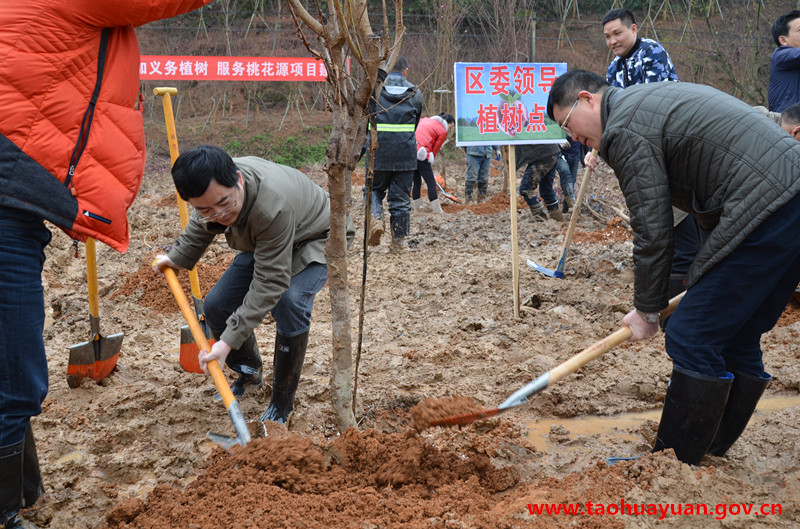 佘书记 苏主任植树.jpg