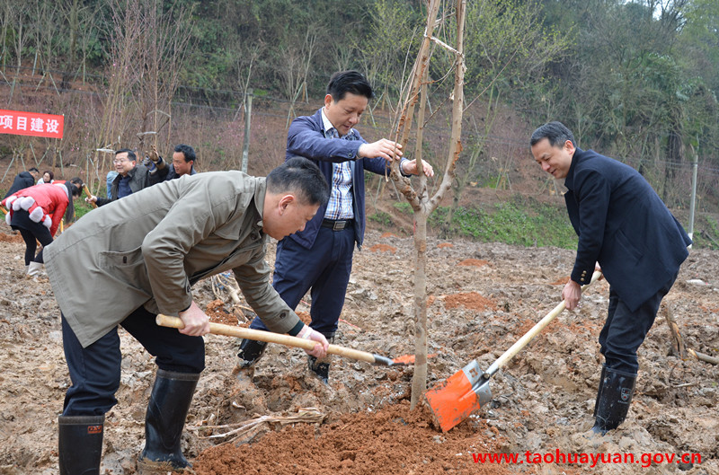 杨书记植树.jpg