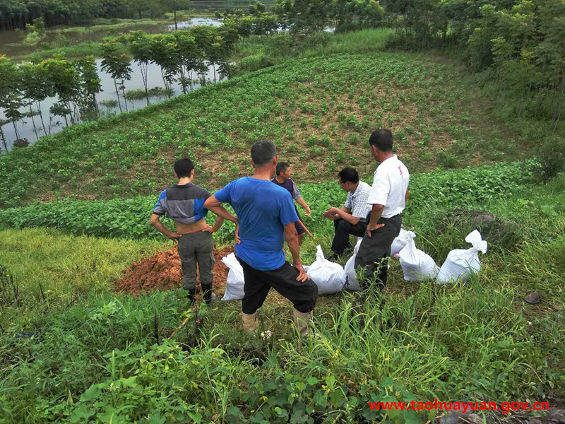 青山.jpg