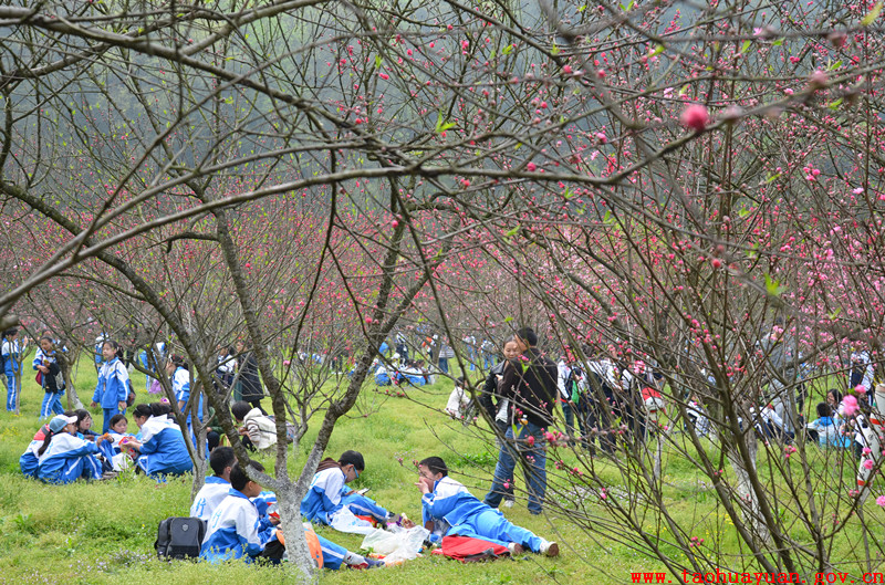 随处可见学生游玩桃花源.jpg