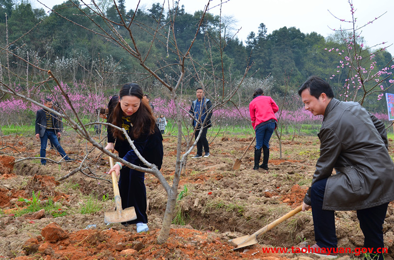 义务植树1.jpg