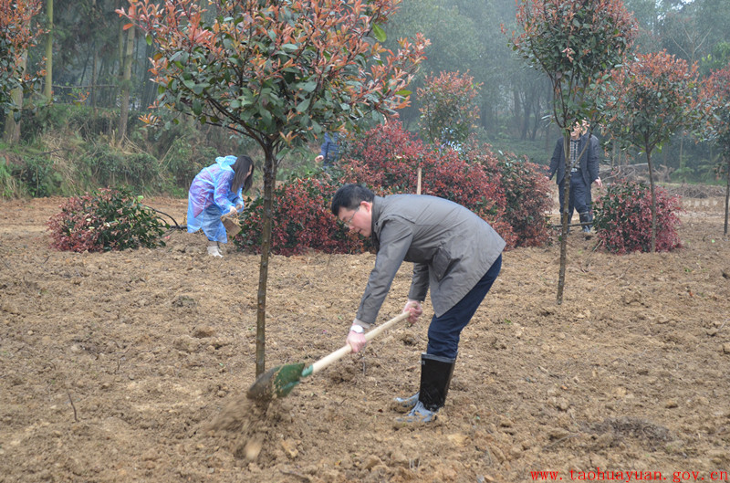 佘主任植树.jpg