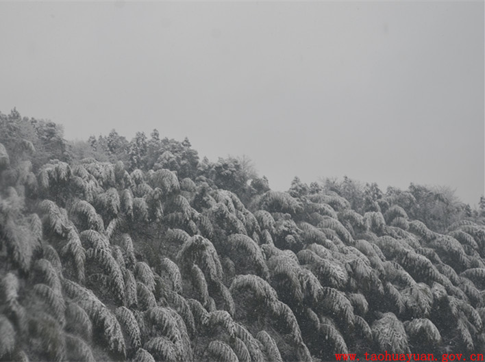 雪景.jpg