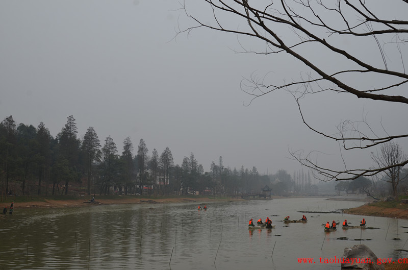 在五柳湖种植水生植被.jpg