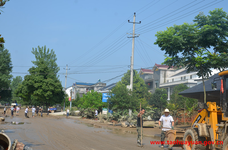 龙坪路段清理.jpg