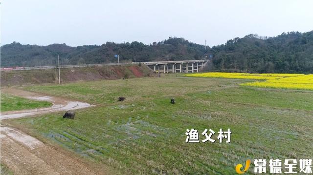 常德桃花源：人间芳华 静待开园