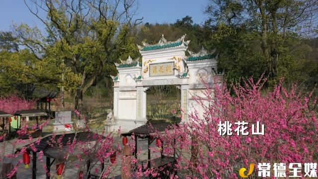 在桃花山景区,成片桃花争相绽放,烂漫嫣红,占尽春光.