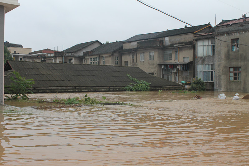 镇区农户房屋淹没1.jpg