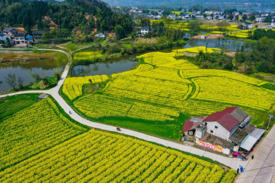 桃花源里来踏春