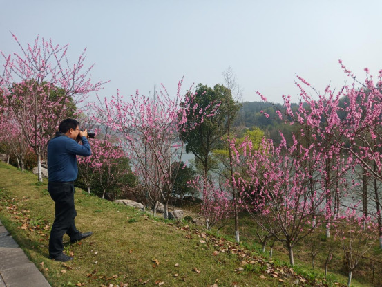 桃花源里来踏春