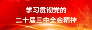 学习贯彻党的二十届三中全会精神